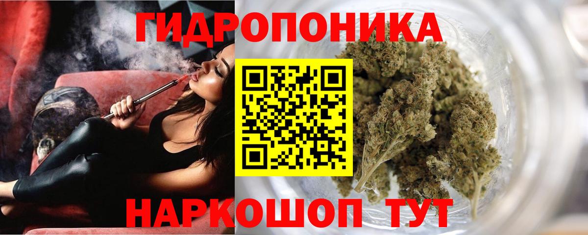МАРИХУАНА сатива  Вход с VPN  Бошки марихуана план  Тольятти 